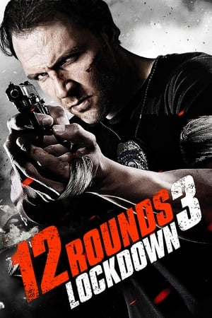 12 Rounds 3 Lockdown 2015 Hindi Dual Audio 480p BluRay 300MB