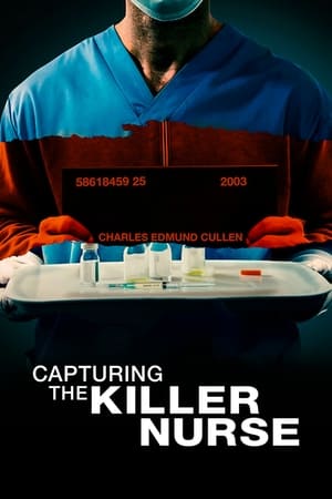 Capturing the Killer Nurse (2022) Hindi Dual Audio HDRip 720p – 480p