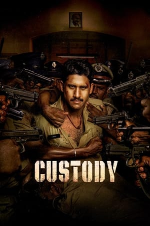 Custody 2023 Hindi (ORG) Dubbed HDTVRip 720p – 480p