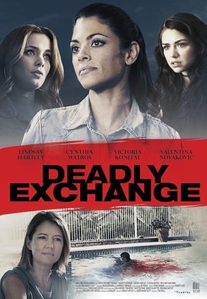 Deadly Exchange 2017 Hindi Dual Audio 720p BluRay [900MB]