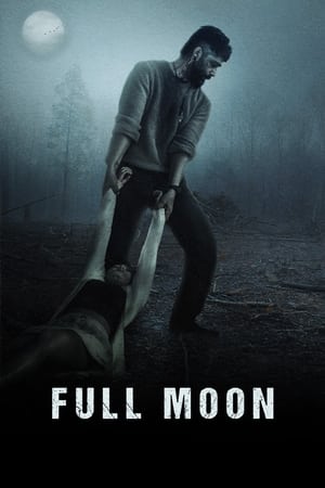 Full Moon 2023 Punjabi HDRip 720p – 480p