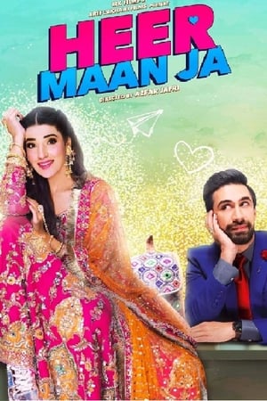 Heer Maan Ja (2019) Urdu Movie 480p HDRip - [420MB]