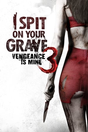 I Spit on Your Grave: Vengeance Is Mine (2015) Hindi Dual Audio HDRip 720p – 480p
