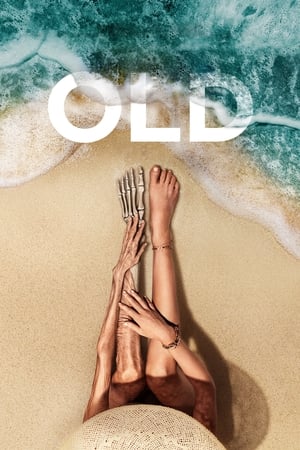 OLD (2021) Hindi (ORG) Dual Audio Web-DL 720p – 480p