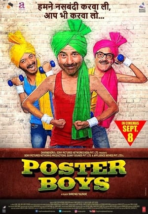 Poster Boys 2017 Movie 720p HDRip Download - 1.1GB