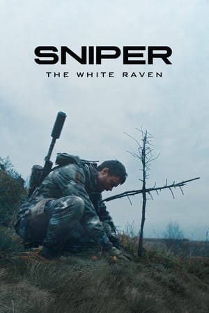 Sniper: The White Raven 2022 Hindi Dual Audio HDRip 720p – 480p