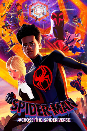 Spider-Man: Across the Spider-Verse 2023 Hindi (ORG) HDRip | 720p | 480p