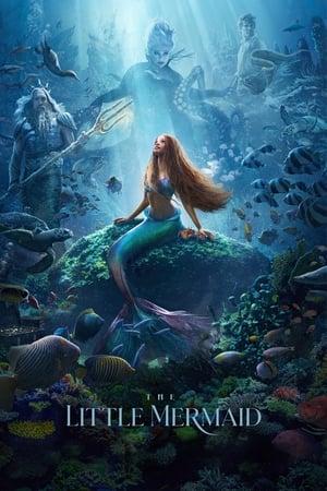 The Little Mermaid (2023) Hindi (ORG 5.1) HDRip | 720p | 480p