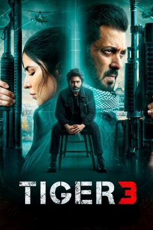 Tiger 3 2023 Hindi (ORG) Web-DL 720p – 480p