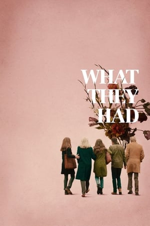 What They Had (2018) Hindi Dual Audio 480P BluRay 350MB