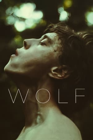 Wolf (2021) Hindi Dual Audio HDRip 720p – 480p