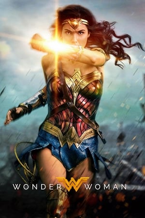 Wonder Woman (2017) Hindi Dual Audio HDRip 720p – 480p