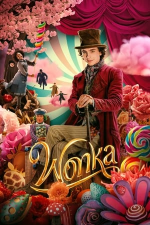 Wonka 2023 Hindi (HQ-Dub) Dual Audio HDTS 720p – 480p