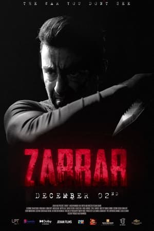 Zarrar (2022) Urdu Movie Pre-DVDRip 720p – 480p